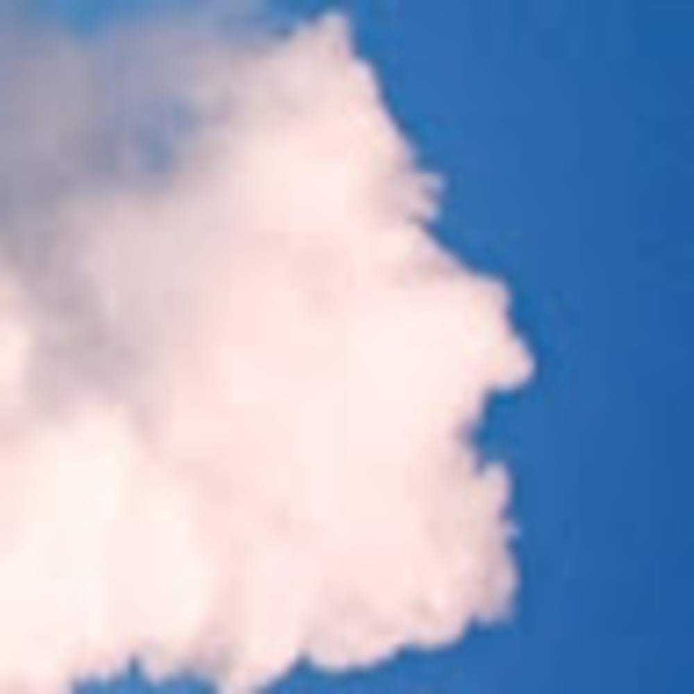 Meet your Posher, Dawg